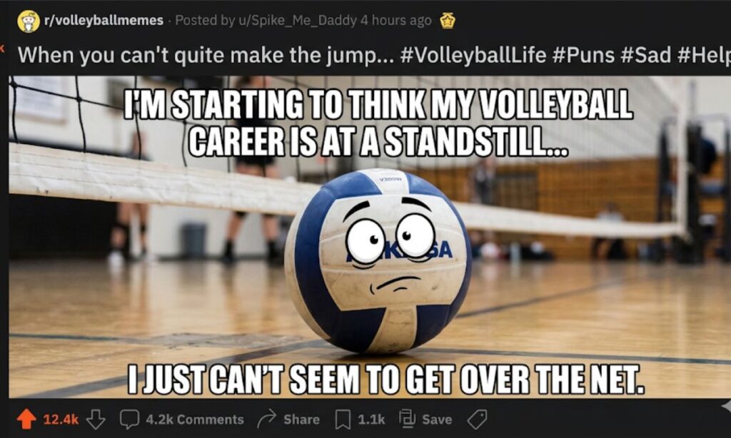 Funny Volleyball Puns Reddit Style