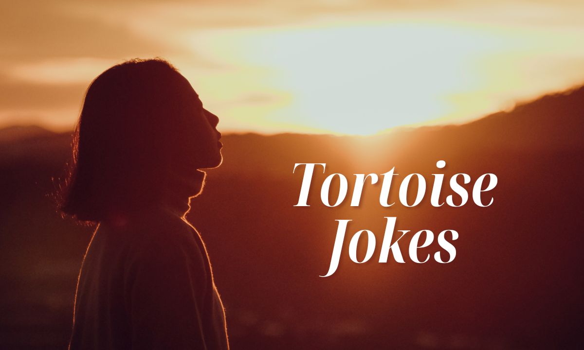 Tortoise Jokes